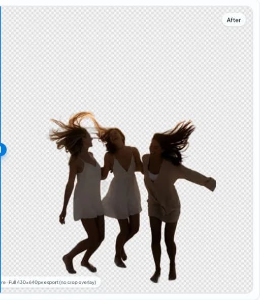 nobg.eu app: after side—same subjects with transparent checkerboard background