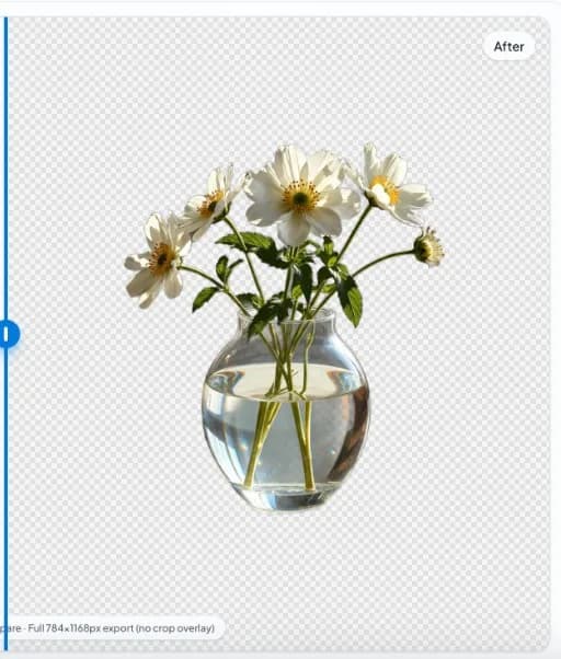 nobg.eu app: after—glass vase cutout on checkerboard transparency